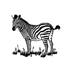 Zebra Wild Life vinyl decal sticker