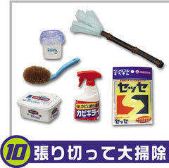 Dust Cleaning #10