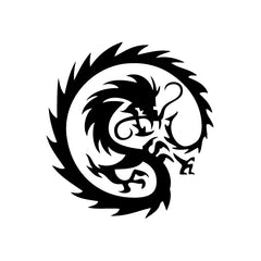 Dragon Fire vinyl decal sticker
