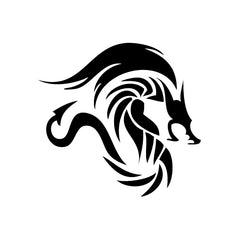 Dragon From Sky vinyl decal sticker