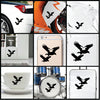Eagle Family Fly vinyl decal sticker where you can apply