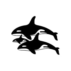 Killer Whale Family vinyl decal sticker