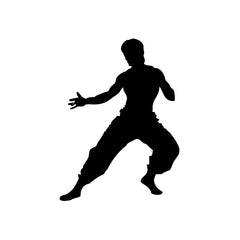 Kung Fu Dragon Master vinyl decal sticker