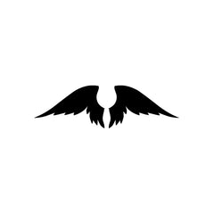 Wings Angel Feather vinyl decal sticker