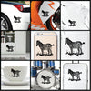 Zebra Wild Life vinyl decal sticker where you can apply